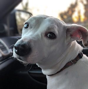 Meet your Posher, Faith